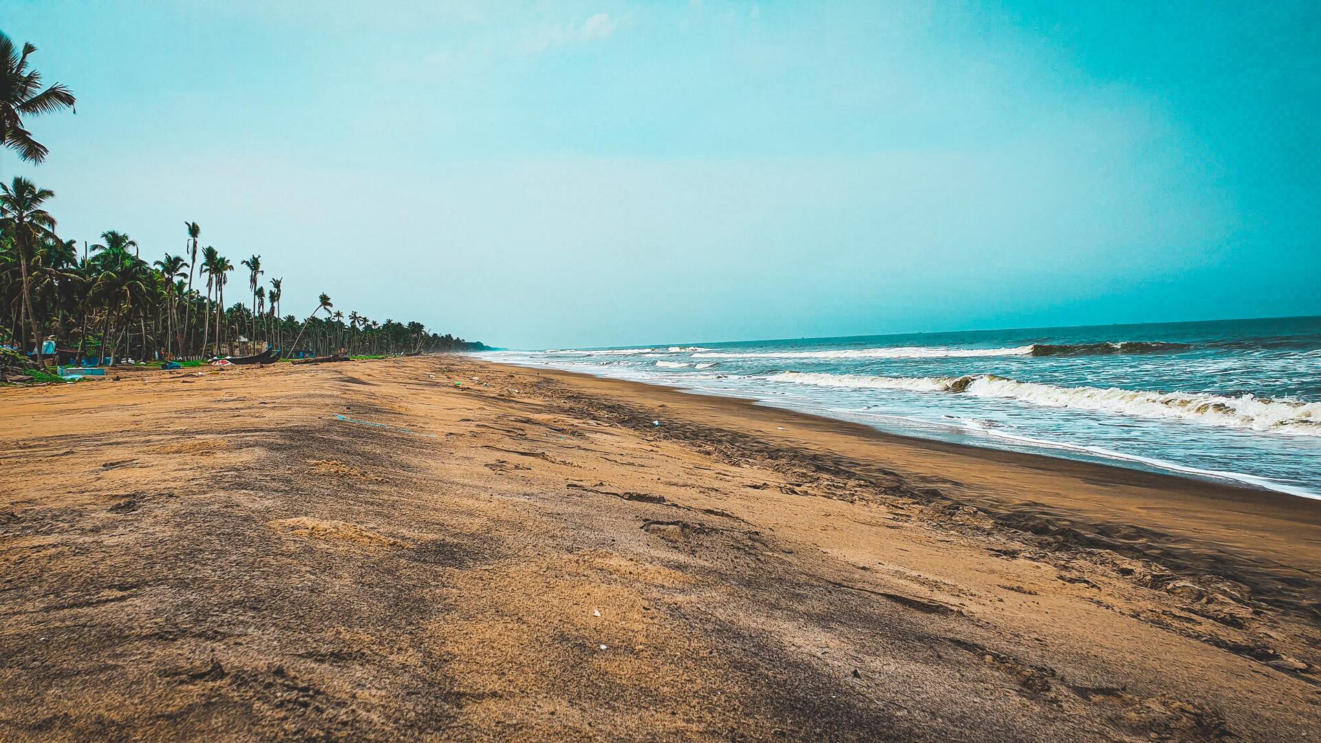 Cochin | Cherai Beach | Munnar | Thekkady | Alleppey