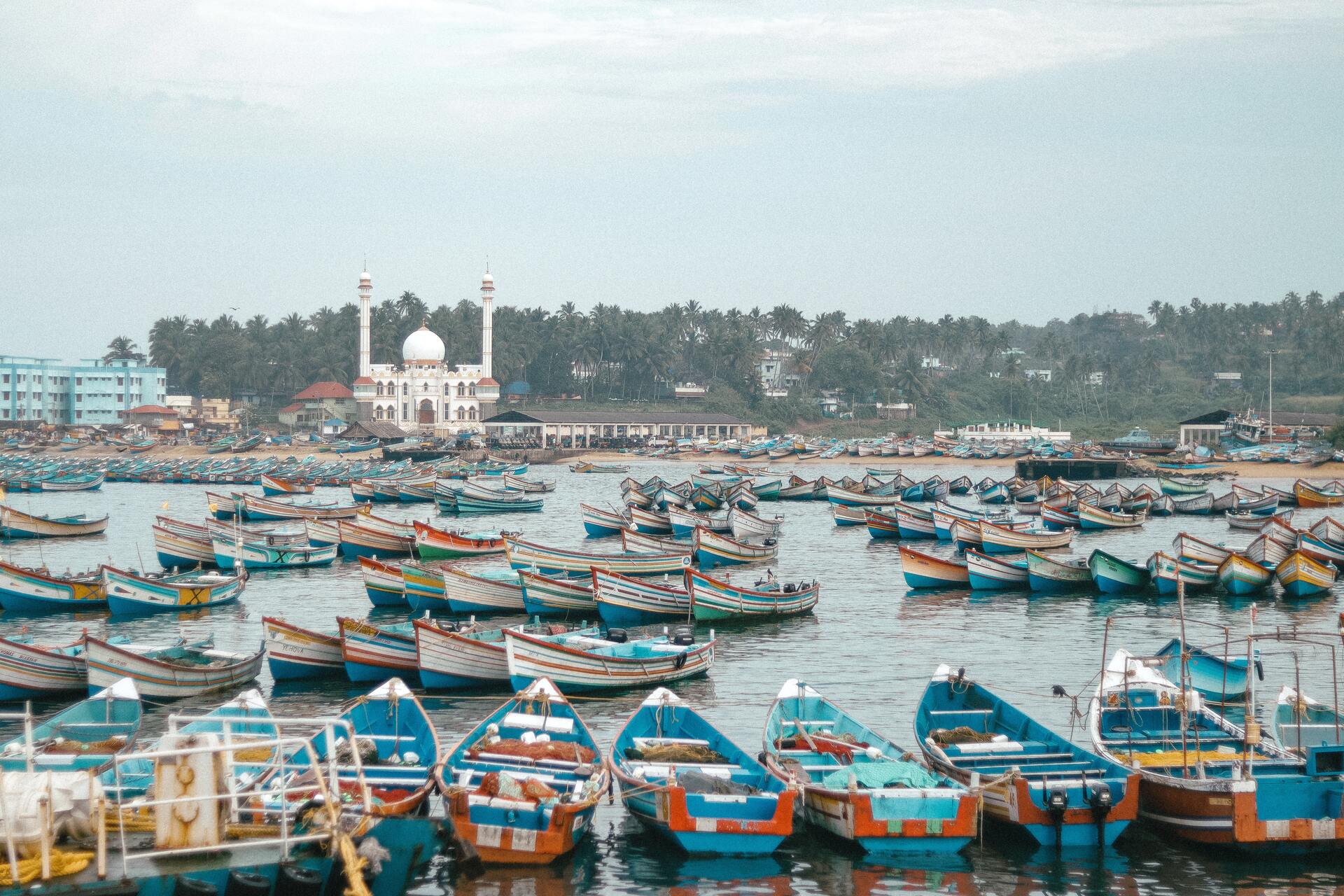 Cochin | Munnar | Thekkady | Alleppey | Kovalam | Cape Day Trip